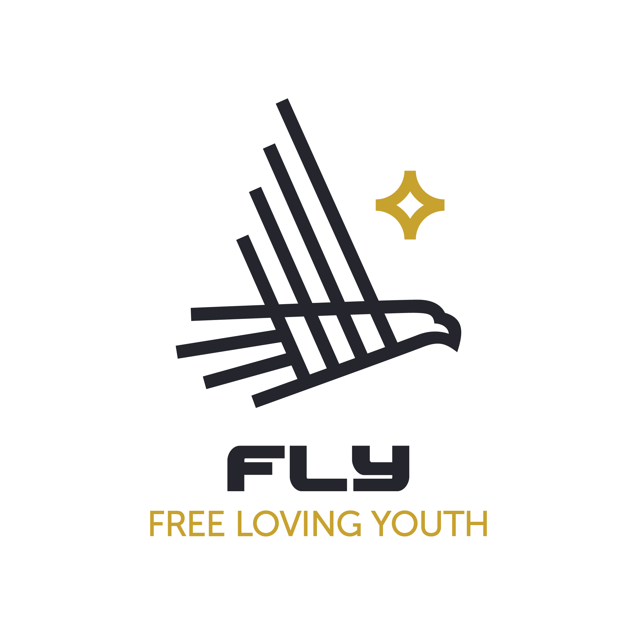 Fly